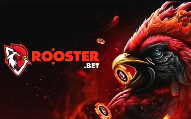 Rooster Bet – sicheres Online Casino Österreich